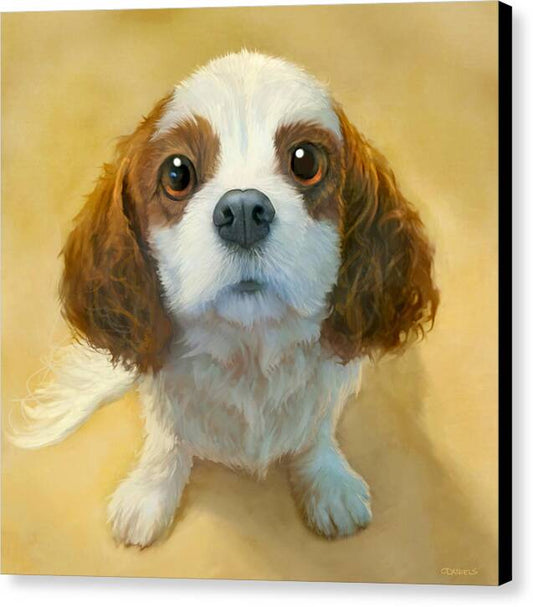 More than Words - Canvas Print