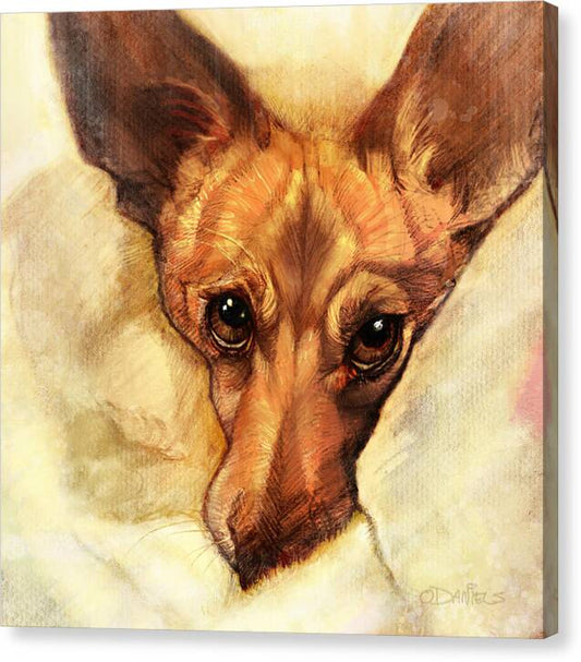 Toby - Canvas Print