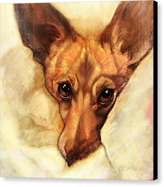 Toby - Canvas Print